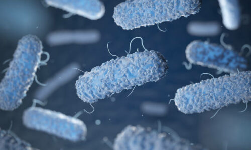 Trattamenti Antilegionella