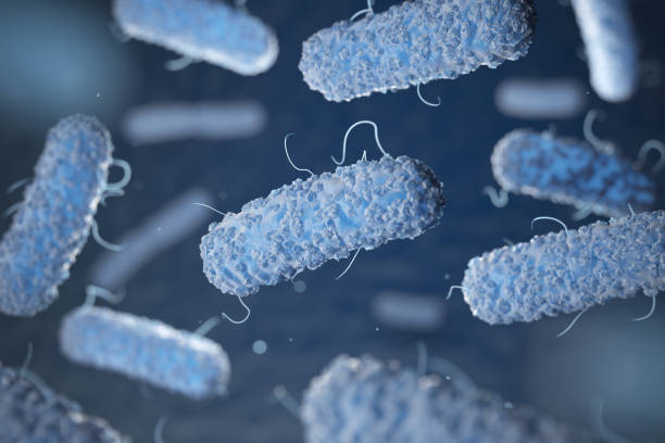 Trattamenti Antilegionella